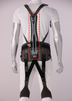 バックボーンプラス